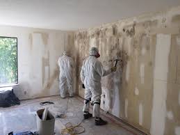 Asbestos and Lead Testing During Mold Inspection in Angier, NC